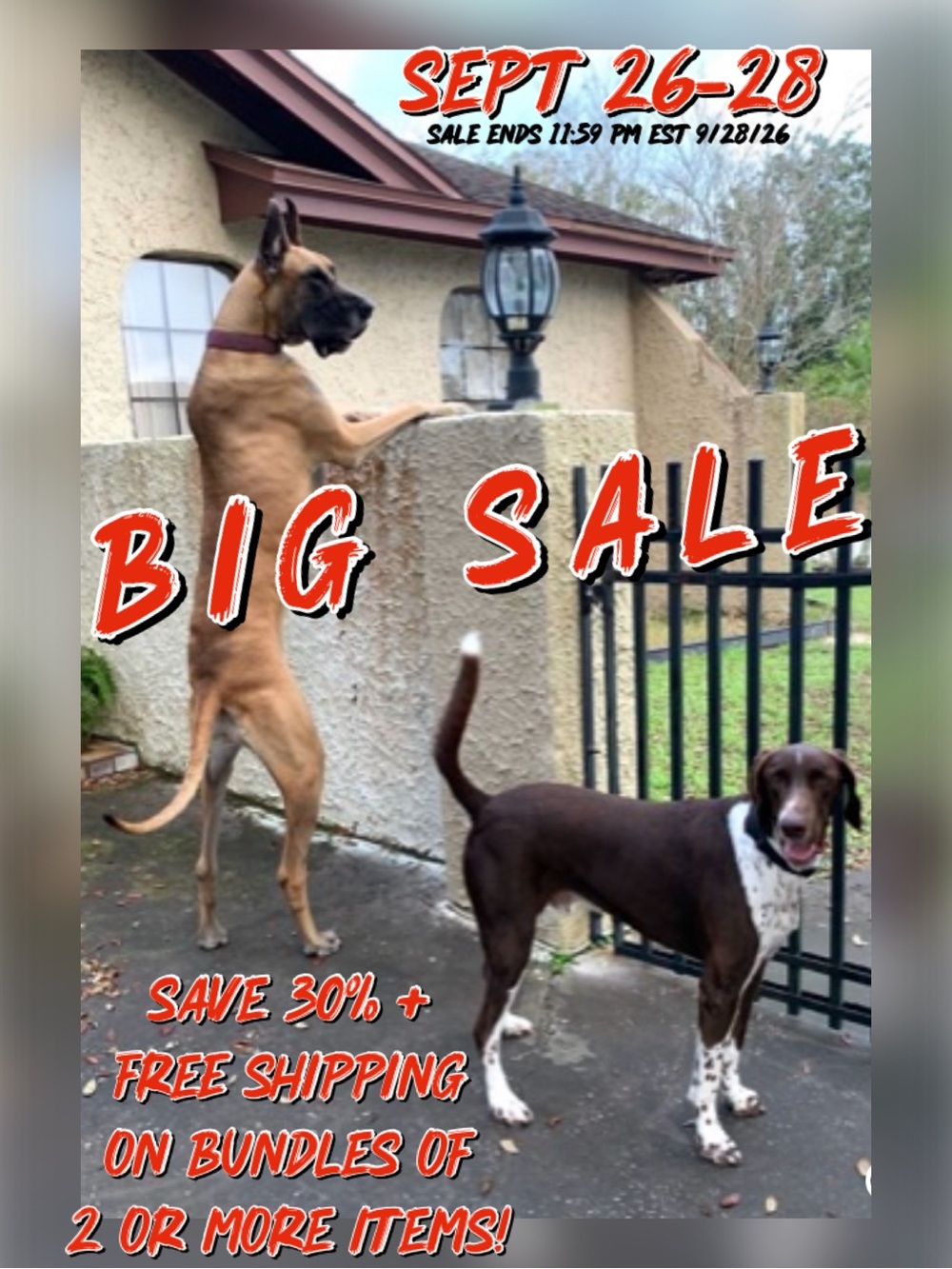 90 Days til Christmas Sale!
